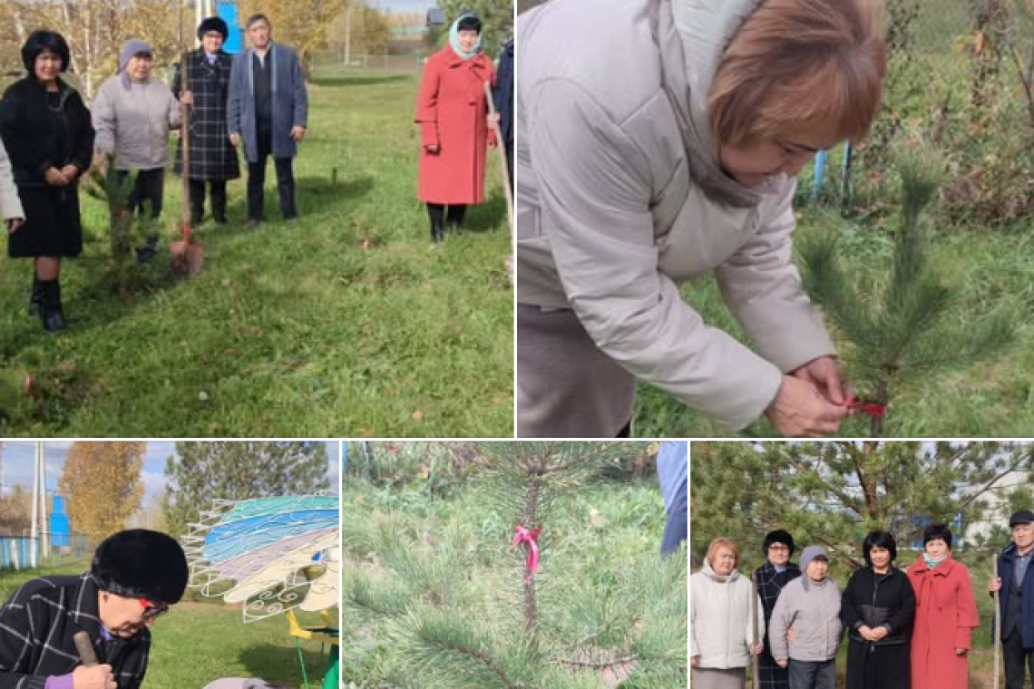 "Таза Қазақстан" акциясына орай ұстаздар күні мерекесі қарсаңында "Ардагер ұстаздардың аллеясы" атты челленжді қолдау, жас ұрпаққа өнегелі істің жолын көрсету мақсатында ардагер ұстаздарымыз мектеп маңына ағаш көшеттерін отырғызды.
